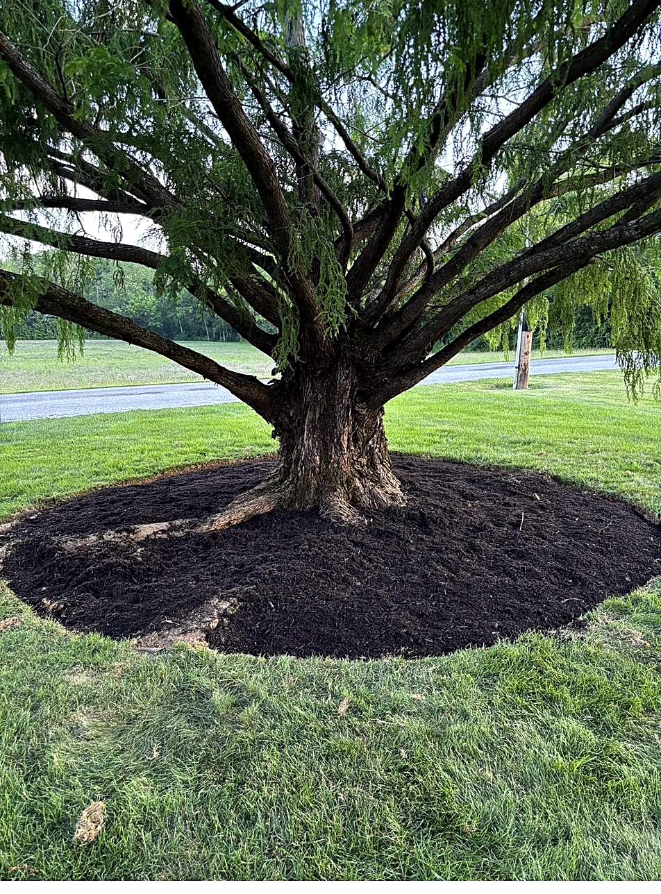 Decorative rock garden bed with flag